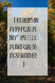 桂湘黔教育界代表齐聚广西三江共探民族美育发展路径