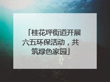 桂花坪街道开展六五环保活动，共筑绿色家园