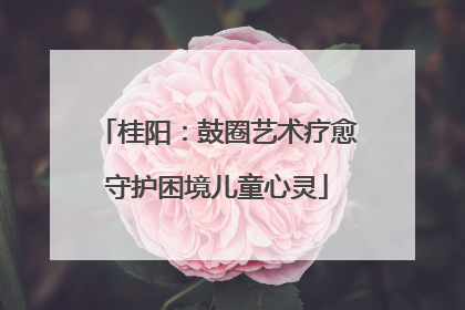 桂阳：鼓圈艺术疗愈守护困境儿童心灵