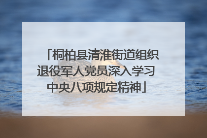 桐柏县清淮街道组织退役军人党员深入学习中央八项规定精神