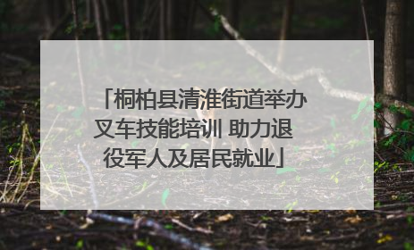 桐柏县清淮街道举办叉车技能培训 助力退役军人及居民就业