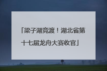 梁子湖竞渡！湖北省第十七届龙舟大赛收官