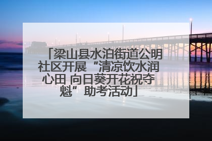 梁山县水泊街道公明社区开展“清凉饮水润心田 向日葵开花祝夺魁”助考活动