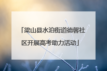 梁山县水泊街道德馨社区开展高考助力活动