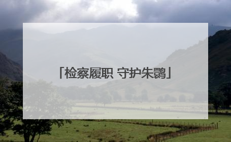 检察履职 守护朱鹮