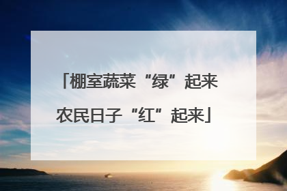 棚室蔬菜“绿”起来 农民日子“红”起来