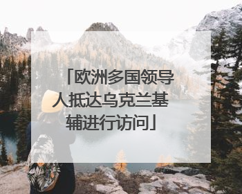 欧洲多国领导人抵达乌克兰基辅进行访问