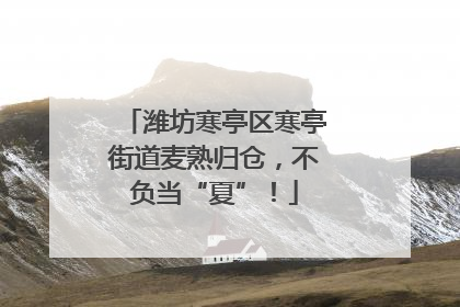 潍坊寒亭区寒亭街道麦熟归仓，不负当“夏”！