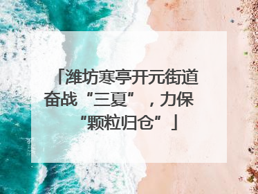 潍坊寒亭开元街道奋战“三夏”，力保“颗粒归仓”