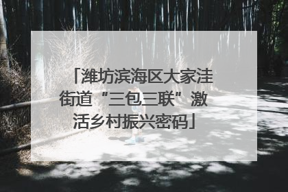 潍坊滨海区大家洼街道“三包三联”激活乡村振兴密码