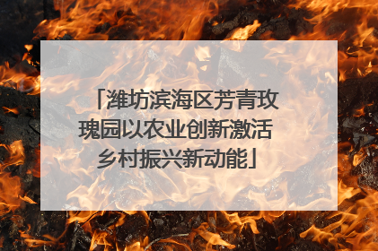 潍坊滨海区芳青玫瑰园以农业创新激活乡村振兴新动能