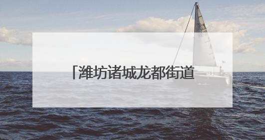 潍坊诸城龙都街道举行“提振消费·助力发展”首批示范单位授牌活动