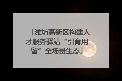 潍坊高新区构建人才服务驿站“引育用留”全场景生态