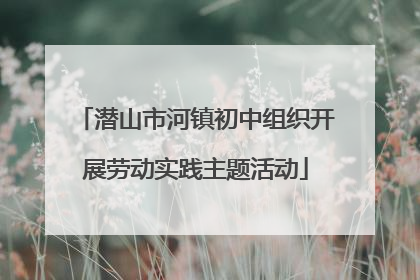 潜山市河镇初中组织开展劳动实践主题活动