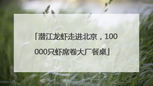潜江龙虾走进北京，100000只虾席卷大厂餐桌