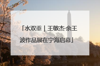 水双重｜王敏杰·余王波作品展在宁海启幕