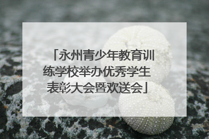 永州青少年教育训练学校举办优秀学生表彰大会暨欢送会