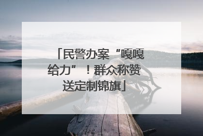 民警办案“嘎嘎给力”！群众称赞送定制锦旗