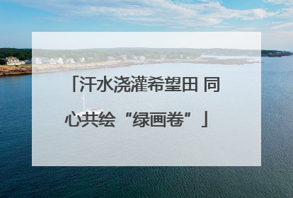 汗水浇灌希望田 同心共绘“绿画卷”