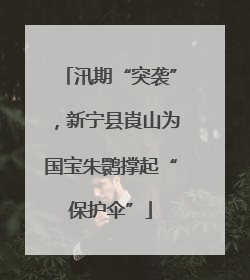 汛期“突袭”，新宁县崀山为国宝朱鹮撑起“保护伞”