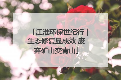 江淮环保世纪行｜生态修复显成效 废弃矿山变青山