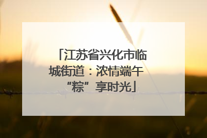 江苏省兴化市临城街道：浓情端午 “粽”享时光