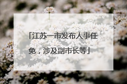 江苏一市发布人事任免，涉及副市长等