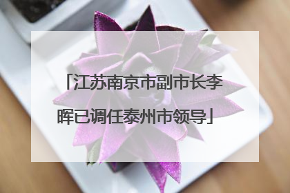 江苏南京市副市长李晖已调任泰州市领导
