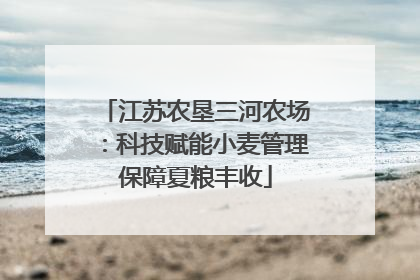 江苏农垦三河农场：科技赋能小麦管理保障夏粮丰收