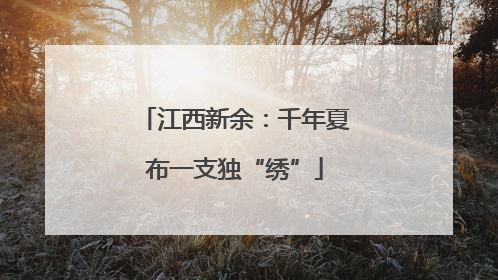 江西新余：千年夏布一支独“绣”
