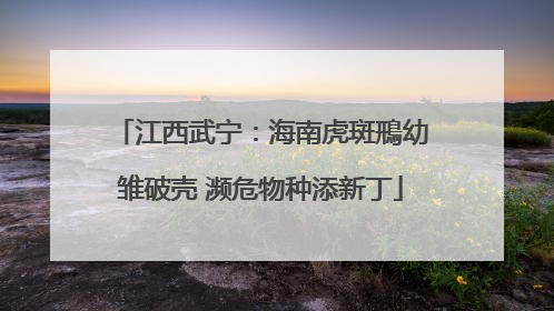 江西武宁：海南虎斑鳽幼雏破壳 濒危物种添新丁
