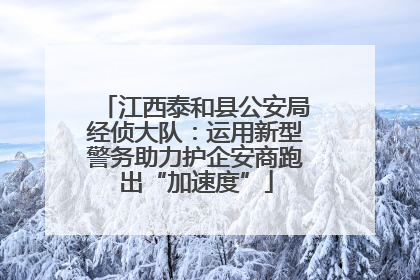 江西泰和县公安局经侦大队：运用新型警务助力护企安商跑出“加速度”