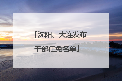 沈阳、大连发布干部任免名单