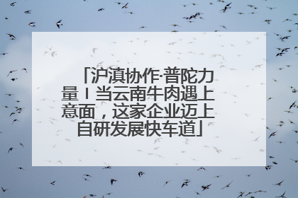 沪滇协作·普陀力量〡当云南牛肉遇上意面，这家企业迈上自研发展快车道