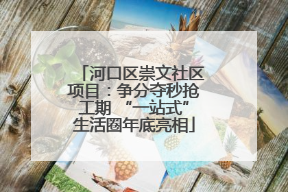 河口区崇文社区项目：争分夺秒抢工期 “一站式”生活圈年底亮相