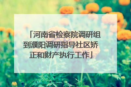 河南省检察院调研组到濮阳调研指导社区矫正和财产执行工作