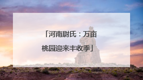 河南尉氏：万亩桃园迎来丰收季