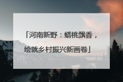 河南新野：蟠桃飘香，绘就乡村振兴新画卷