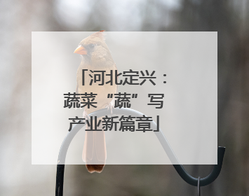 河北定兴：蔬菜“蔬”写产业新篇章
