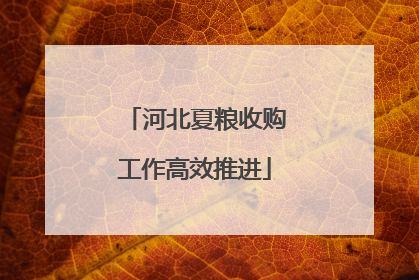河北夏粮收购工作高效推进