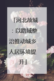河北故城：以路域整治推动城乡人居环境提升