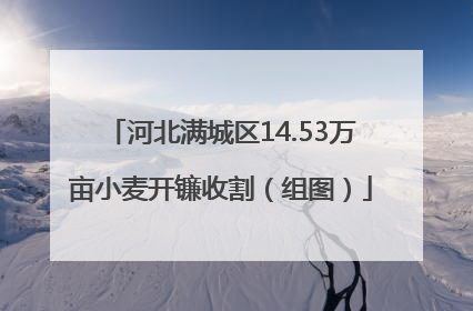 河北满城区14.53万亩小麦开镰收割（组图）