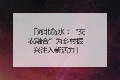 河北衡水：“交农融合”为乡村振兴注入新活力