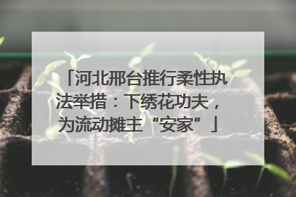 河北邢台推行柔性执法举措：下绣花功夫，为流动摊主“安家”