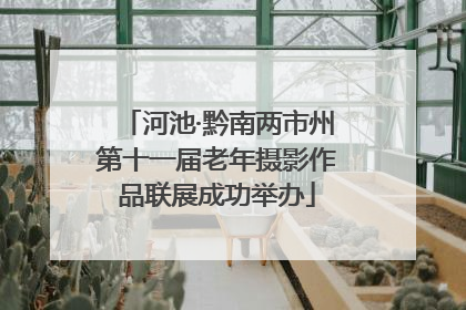 河池·黔南两市州第十一届老年摄影作品联展成功举办