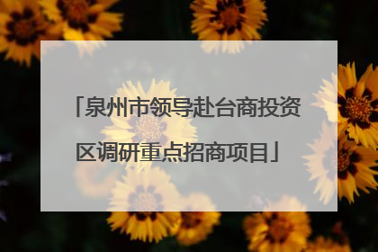泉州市领导赴台商投资区调研重点招商项目