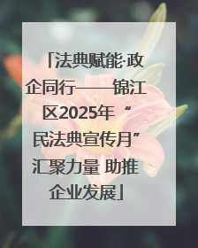 法典赋能·政企同行——锦江区2025年“民法典宣传月”汇聚力量 助推企业发展