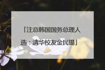 注意韩国国务总理人选：清华校友金民锡