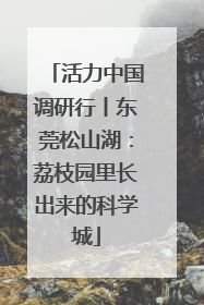 活力中国调研行丨东莞松山湖：荔枝园里长出来的科学城