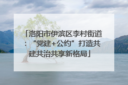 洛阳市伊滨区李村街道：“党建+公约”打造共建共治共享新格局